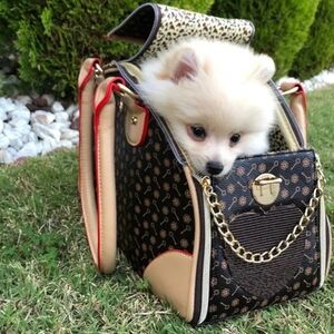 Luxury Dog carrier. Great for travel!l and dogs under 9 pounds